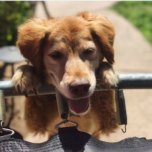 Meet your Posher, Serena